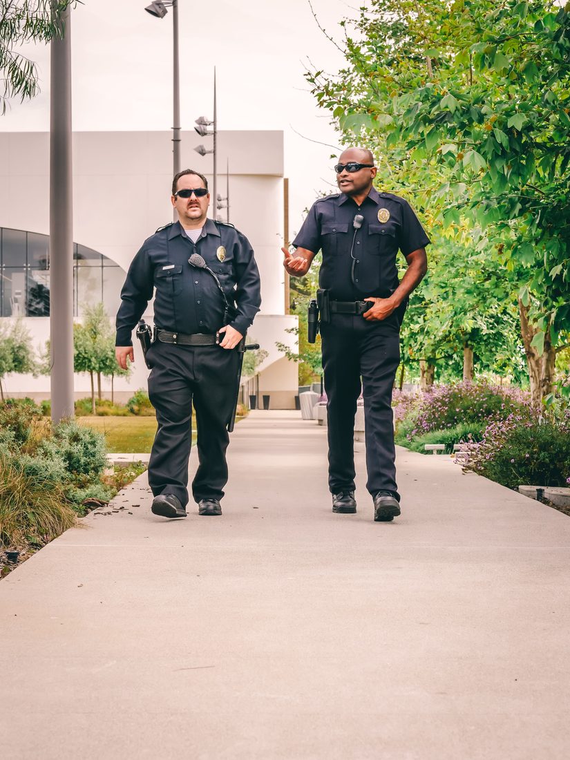 Security team planning protection
